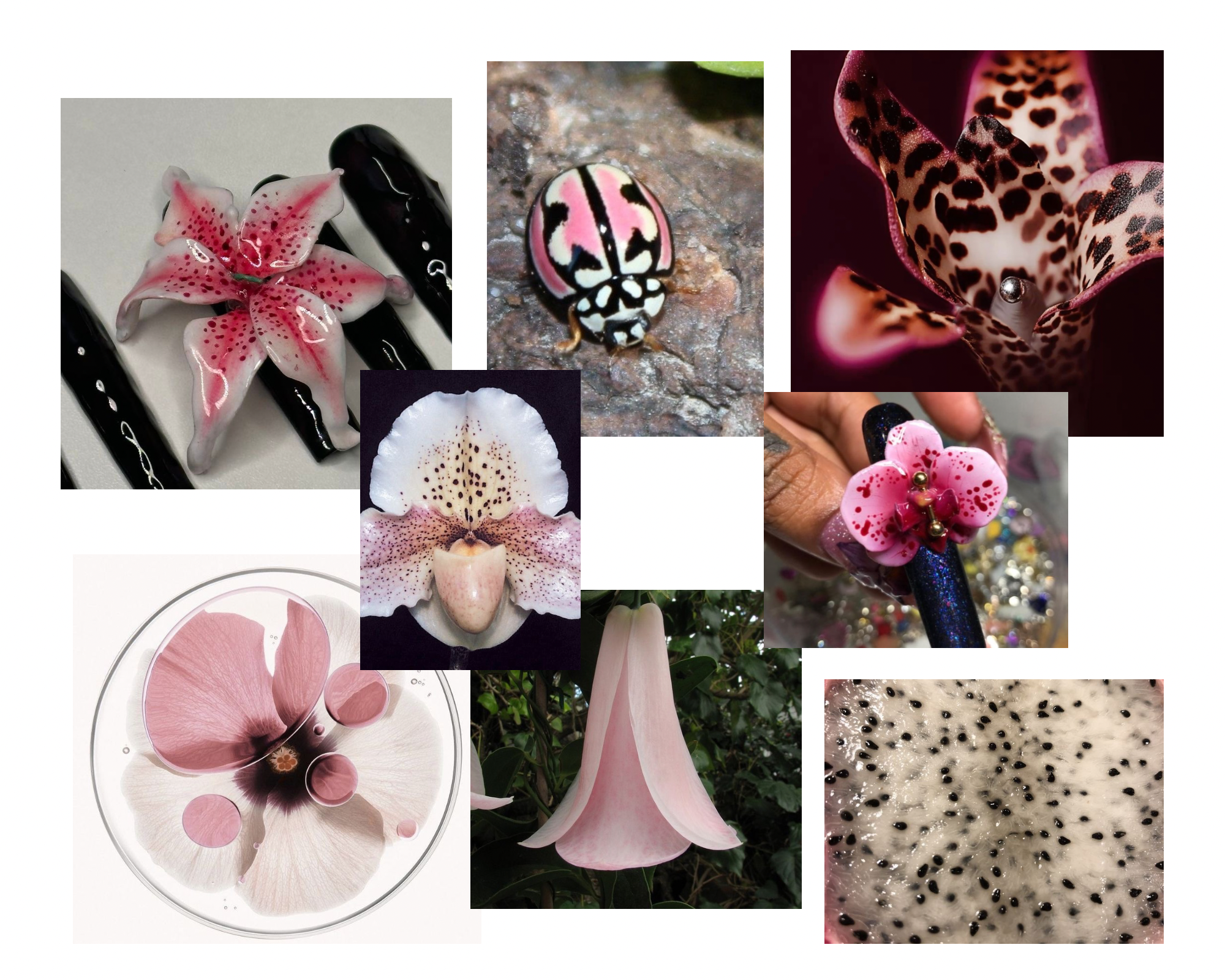 MoodBoard Sets