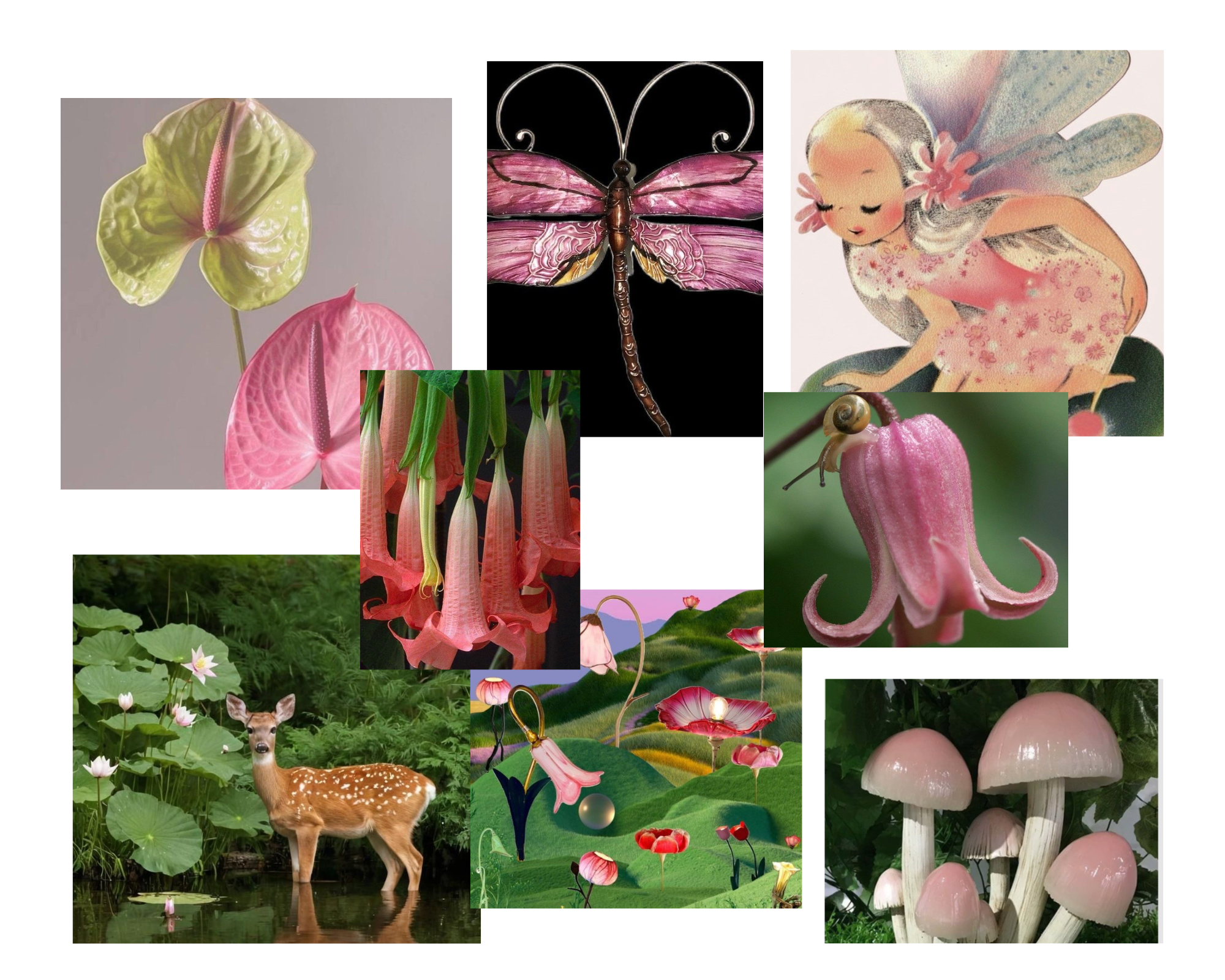 MoodBoard Sets