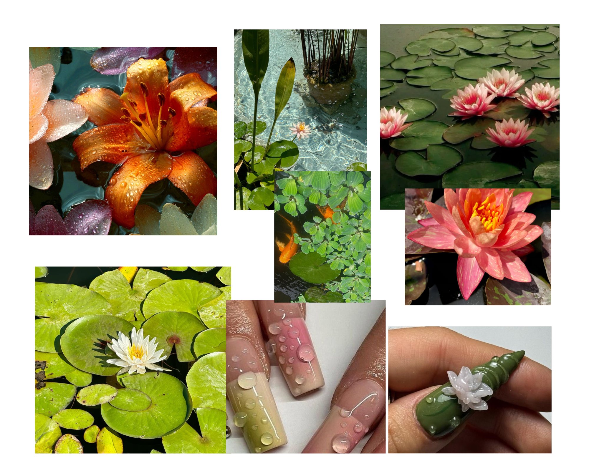 MoodBoard Sets