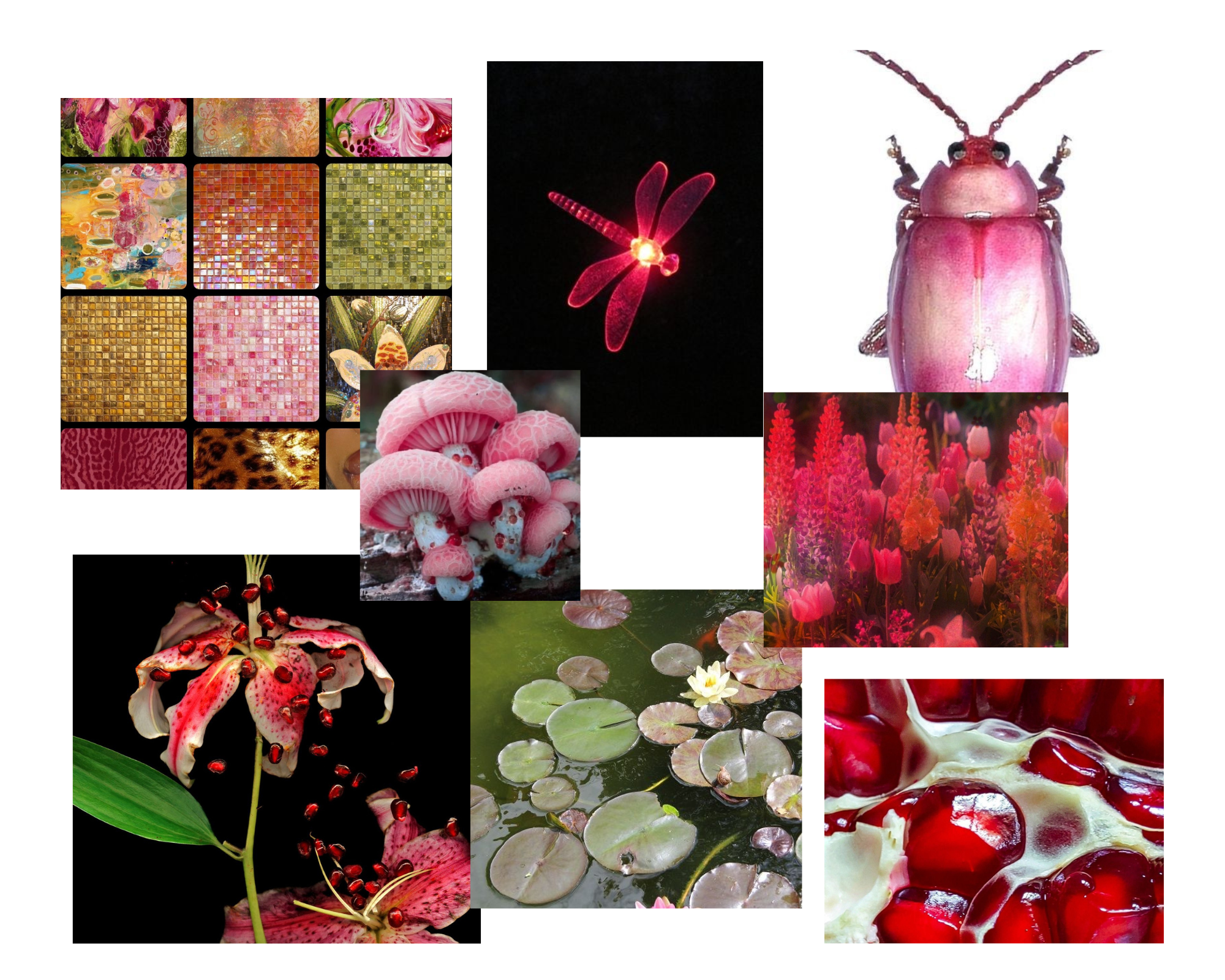 MoodBoard Sets