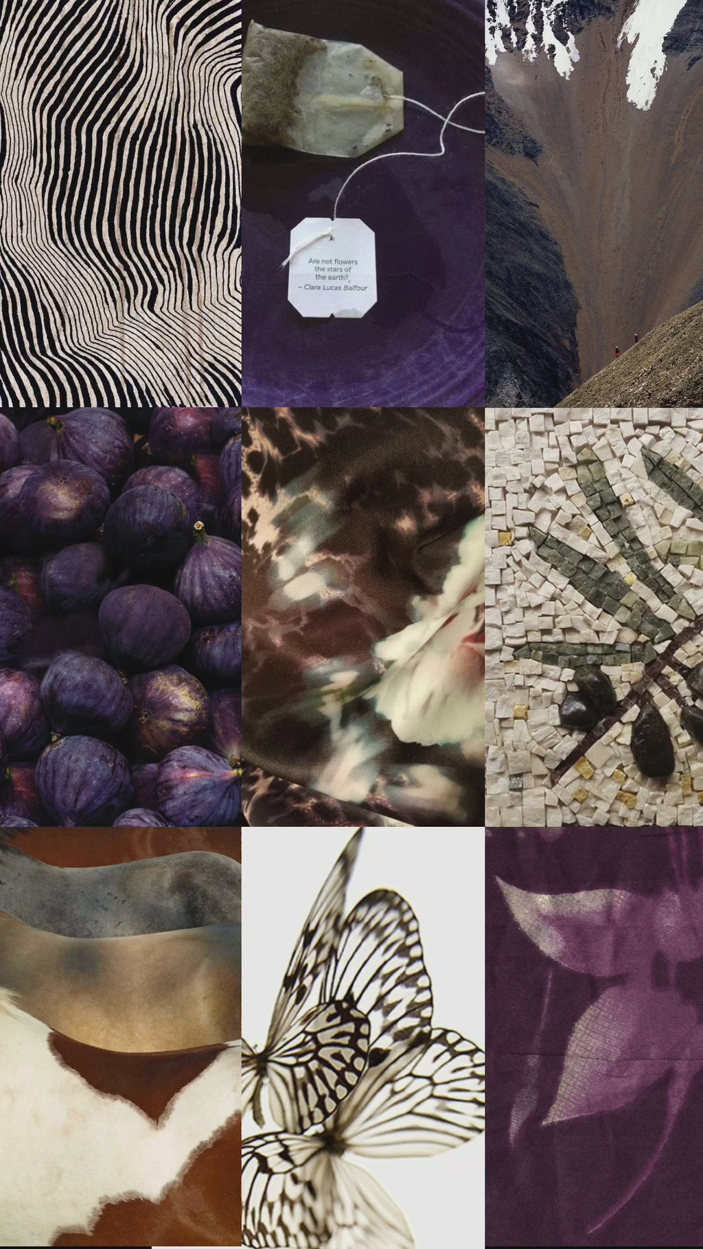 MoodBoard Sets