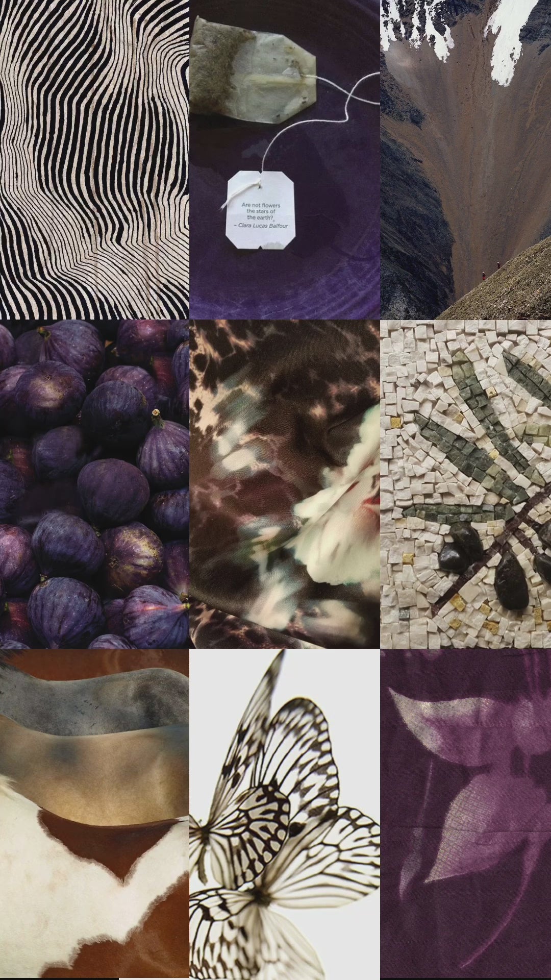 MoodBoard Sets